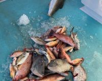 vero beach fishing 2 20220117